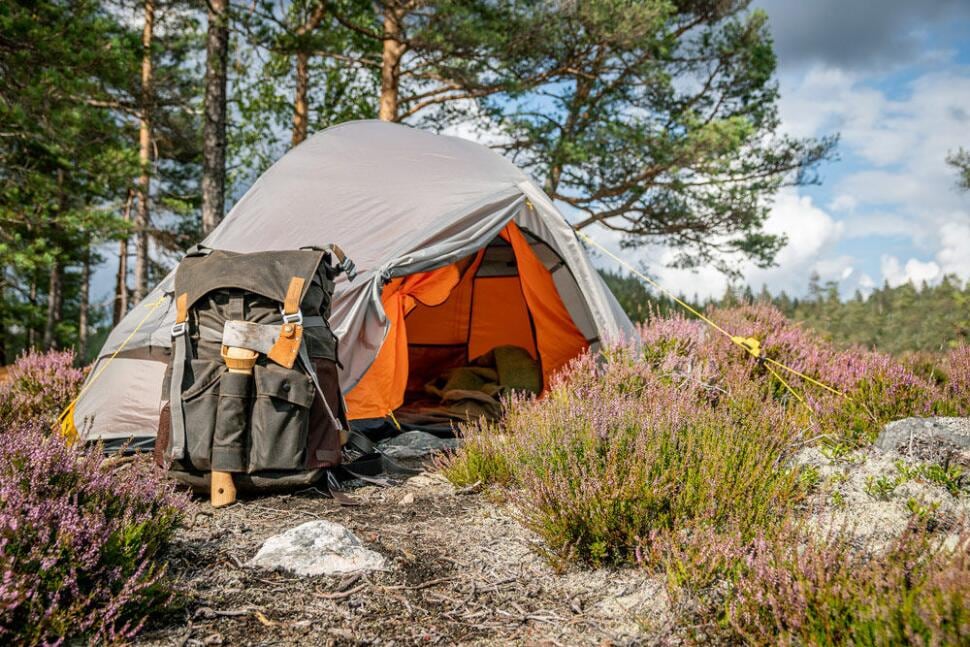 Geodettelt Venture 1 1-persons 160x215 cm 1,95 kg Oak - Wechsel