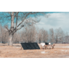 Solcellepanel vinklet mot solen bifasialt 220W EcoFlow