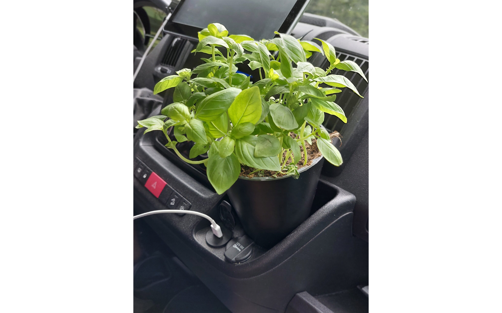 Detalj av Cockpit-holder for planter til Fiat Ducato/Citroën Jumper - Camperflower