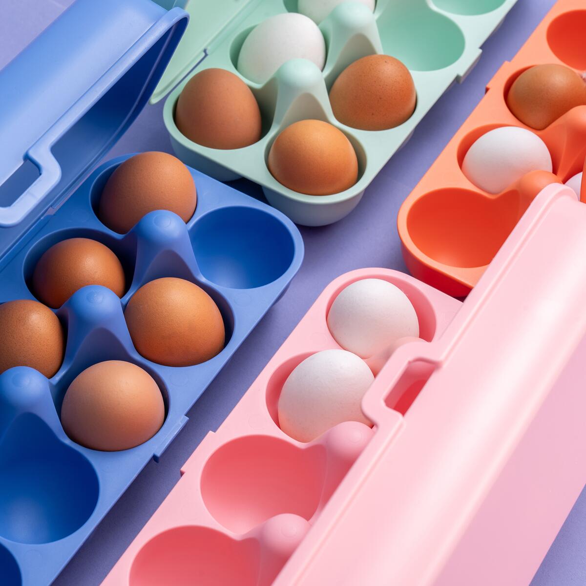 Eggboks Eggs To Go for 10 egg, bakside