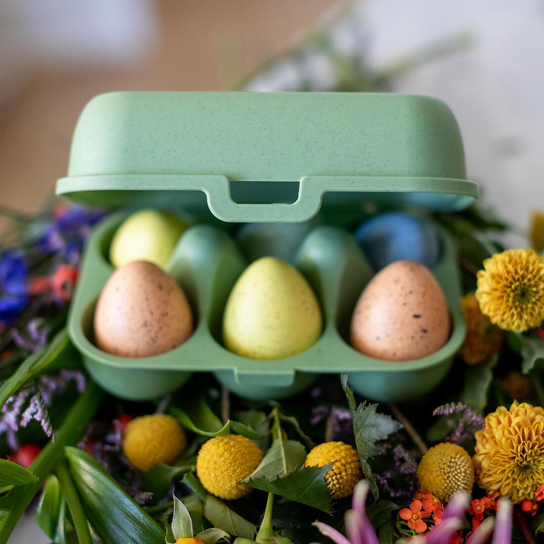 Eggboks Eggs To Go for 10 egg, nærbilde av materiale