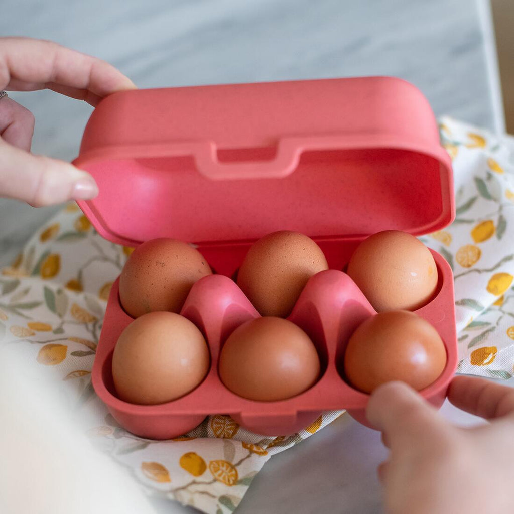 Eggboks Eggs To Go for 10 egg, i flere farger
