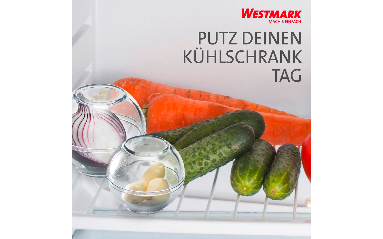 Ferskholdekuler 2 stk ø 7/9 cm Westmark nærbilde