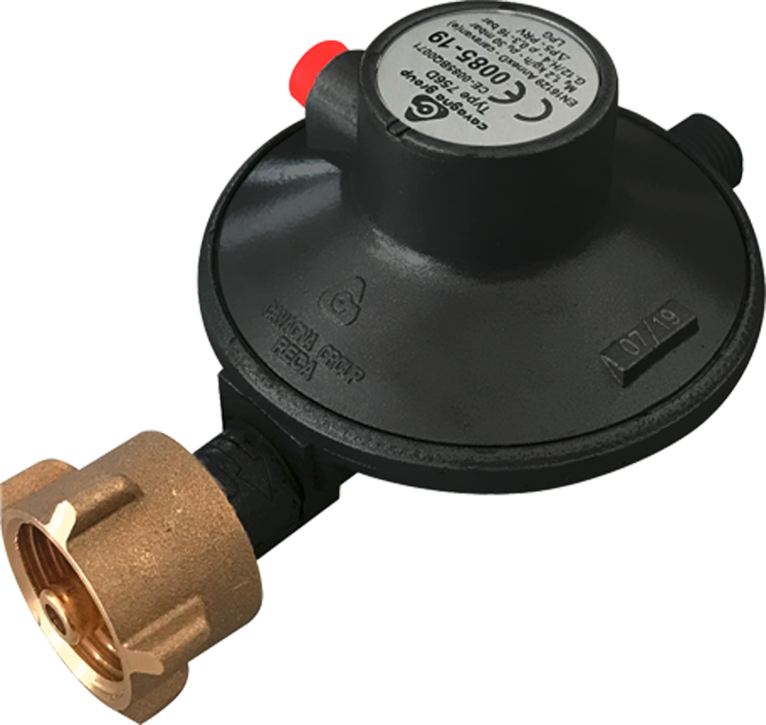 Gassregulator 30 mbar med sikkerhetsventil - Enders for sikker gasskontroll