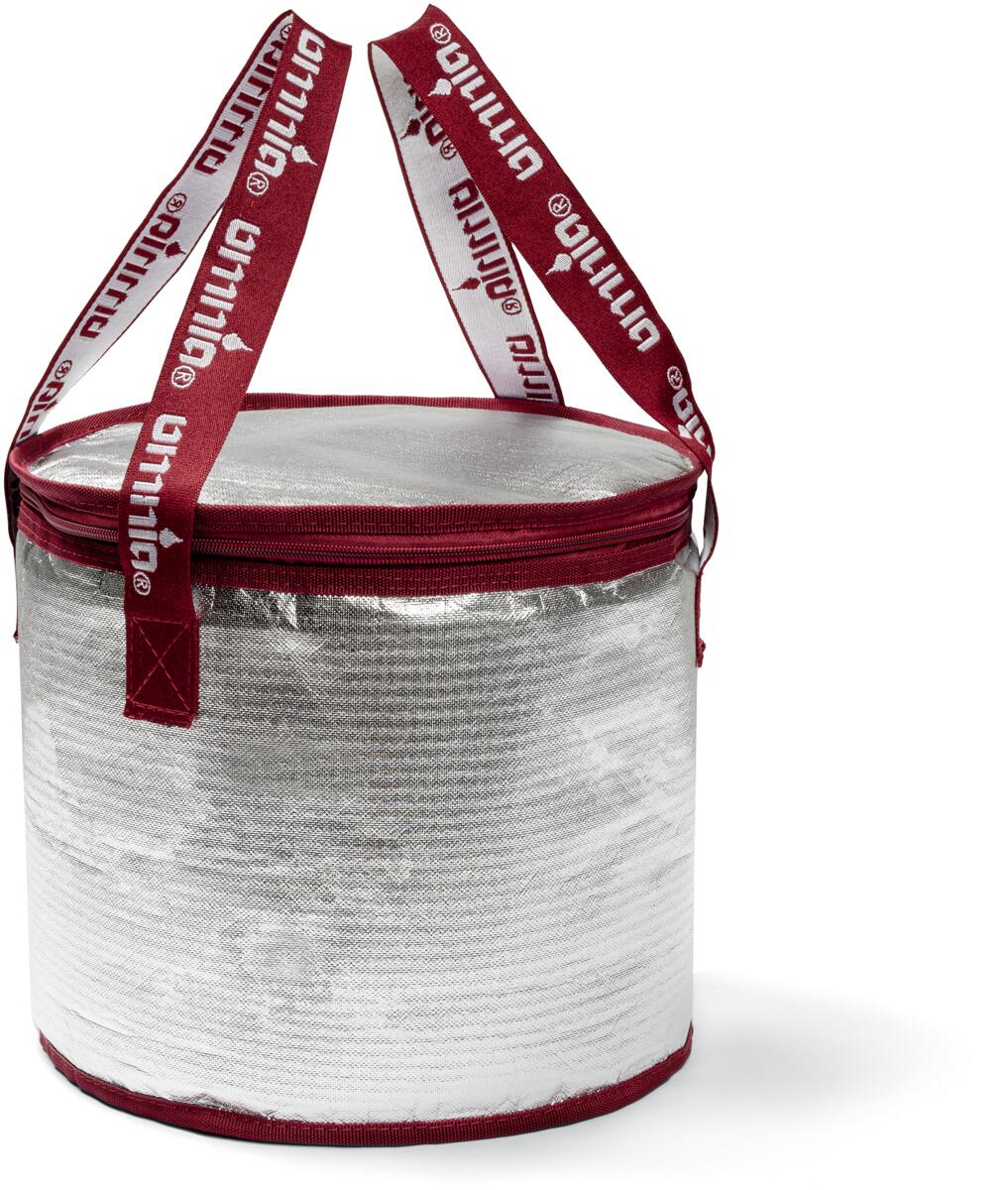 Kjøleveske Cool Bag inkl. kjøleelementer 27 cm bakside