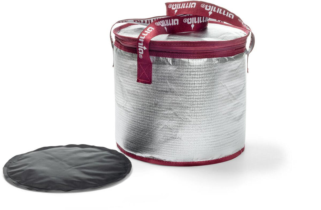 Detalj av Kjøleveske Cool Bag inkl. kjøleelementer 27 cm
