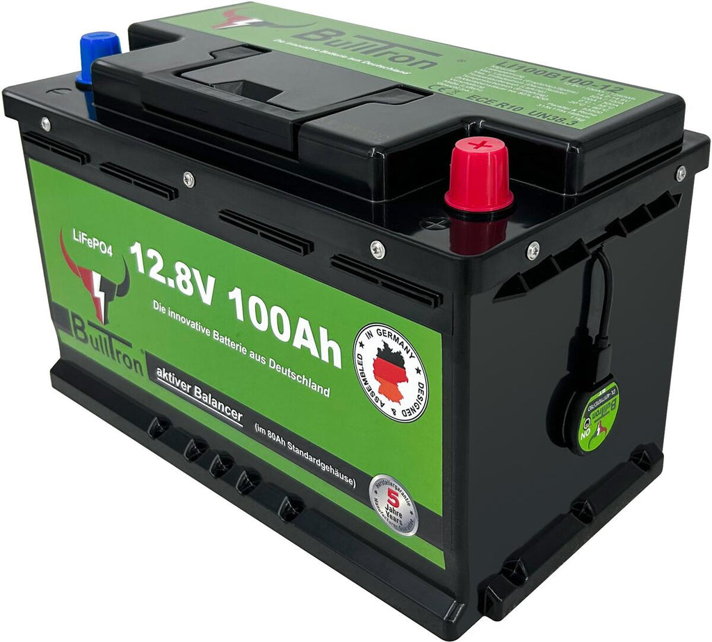 LiFePO4 lithium-batteri 100Ah 12.8V med Smart BMS og Bluetooth bakside