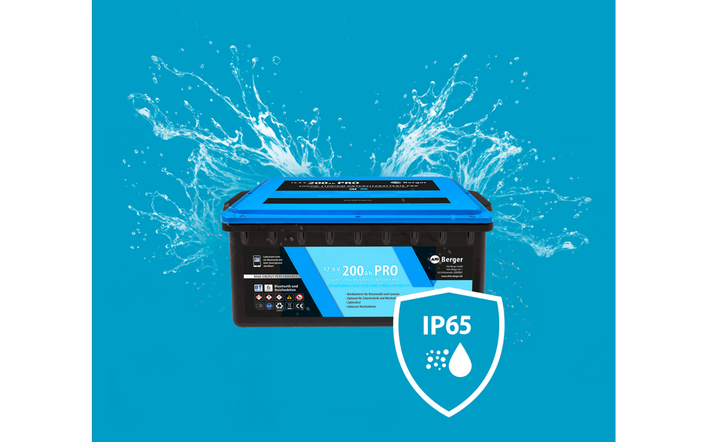 Detalj av LiFePO4 litium undersetesbatteri Pro 200 Ah 12V med Bluetooth og varme