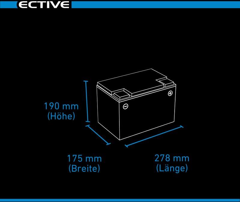 LiFePO4 litiumsbatteri LC LT 80 Ah 12V lavtemperatur 10,2 kg bakside
