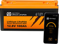 LiFePO4 litiumsbatteri LX Arctic Smart 12V 100Ah Bluetooth BMS front