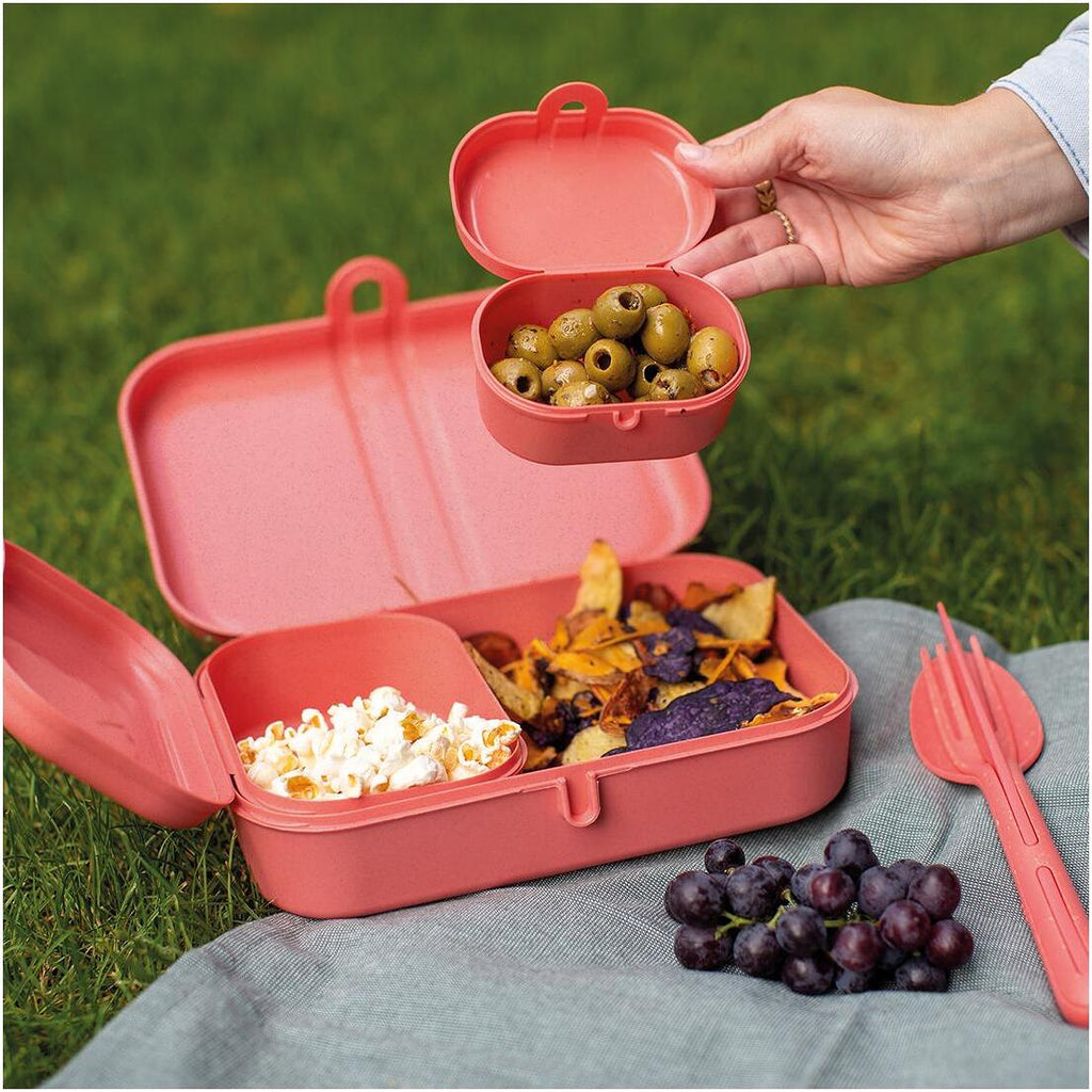 Lunchbox Pascal Ready med bestikk 4-delt bakside