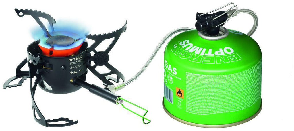 Detaljbilde av Multifuelkoker Polaris 4200W