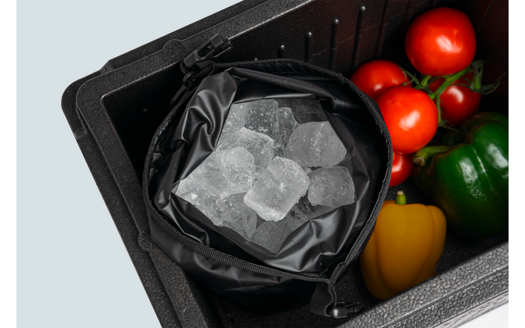 Detalj av Passiv kjøleboks-sett Cool Plus 16 l inkl. kjøleelementer