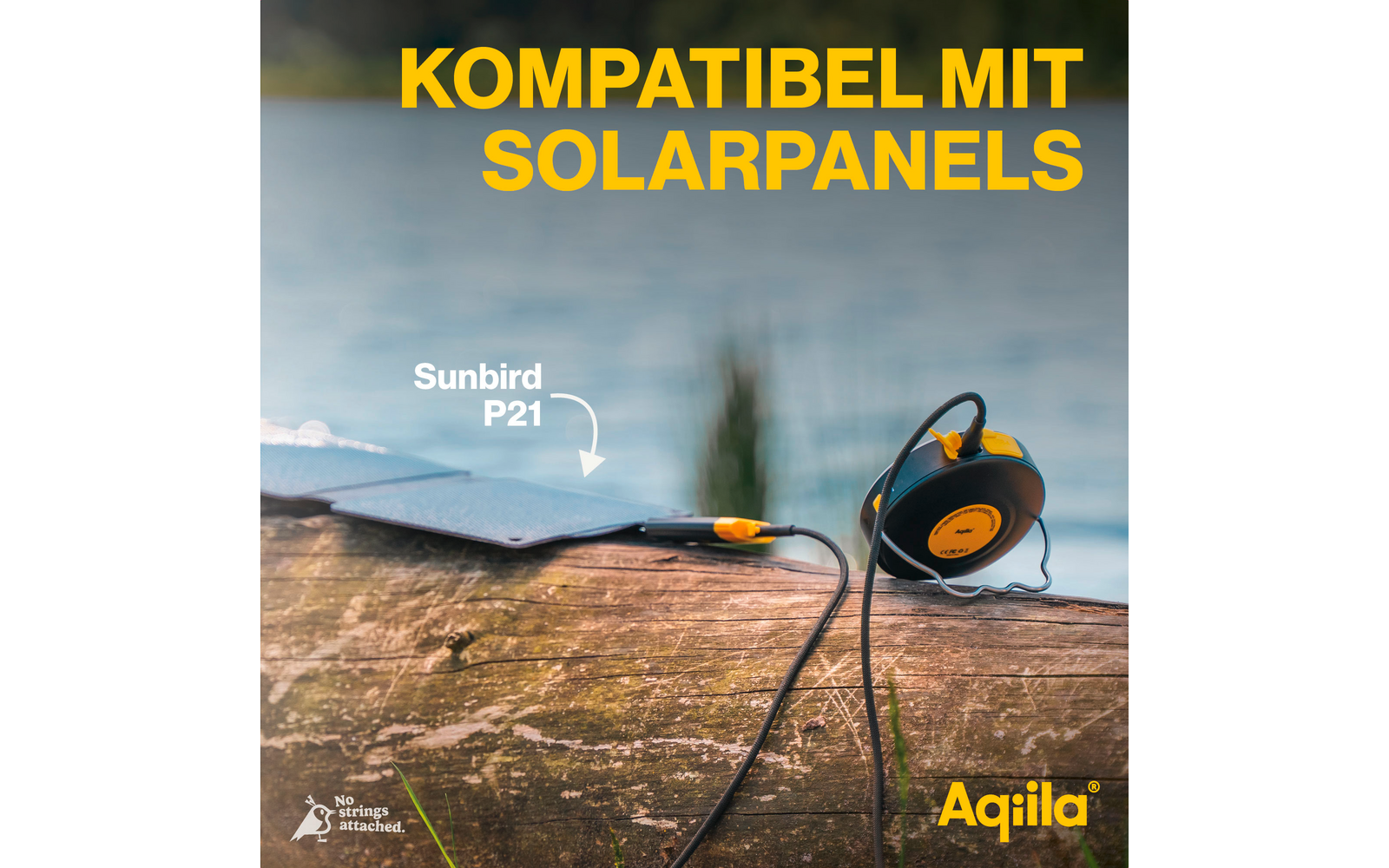 Powerbank-lampe BL10 20 W 10000 mAh 300 lumen svart montert