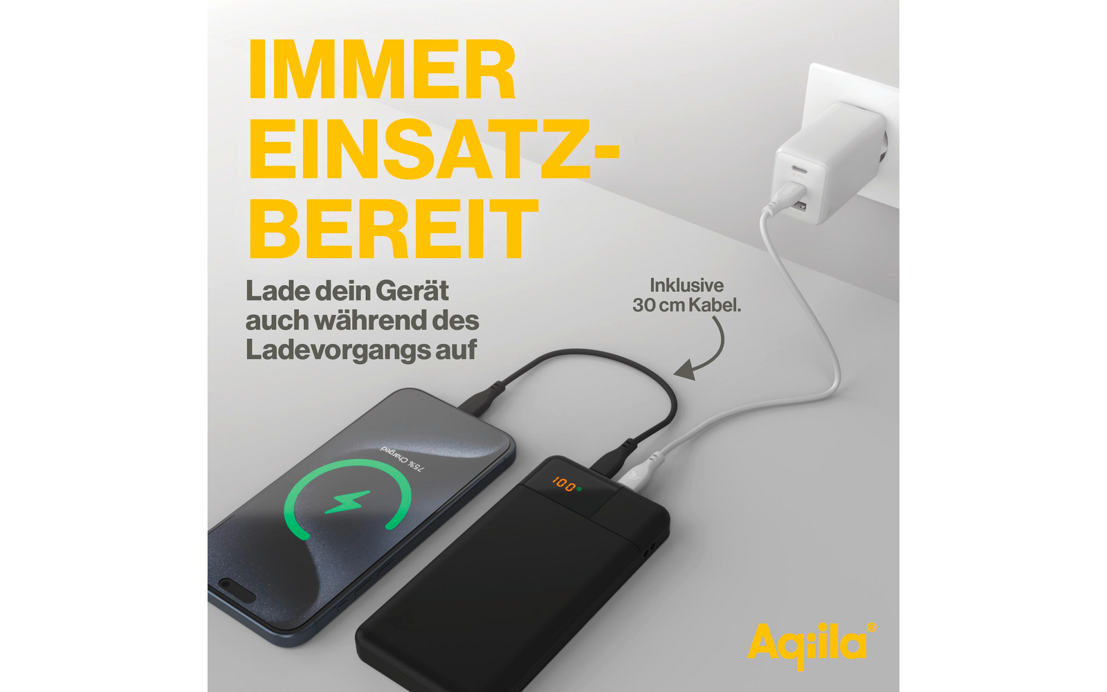 Powerbank Powerbird B10 10000 mAh 20 W LCD svart montert med kabel