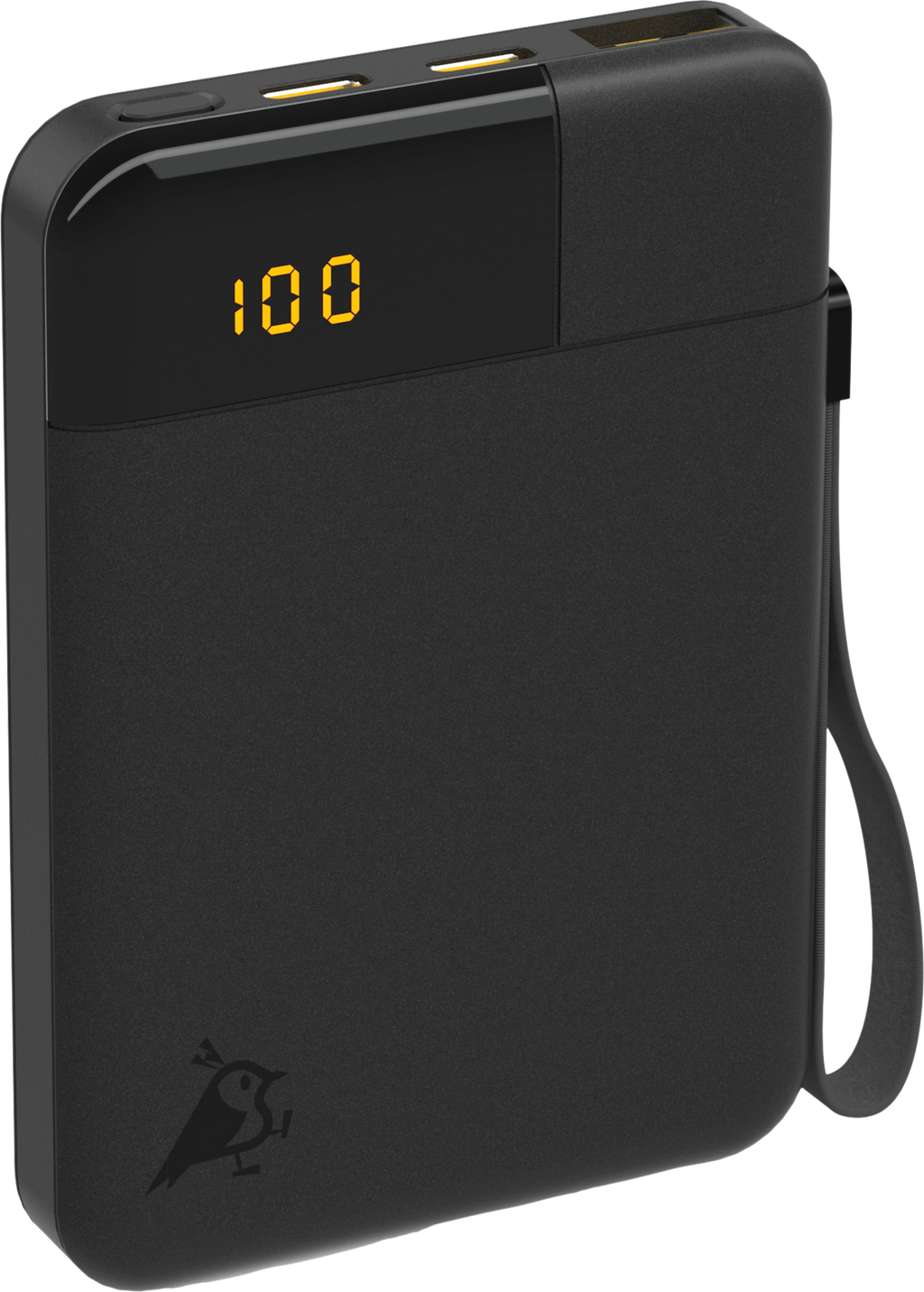 Powerbank Powerbird B5 12 W 5000 mAh med LCD-display forfra