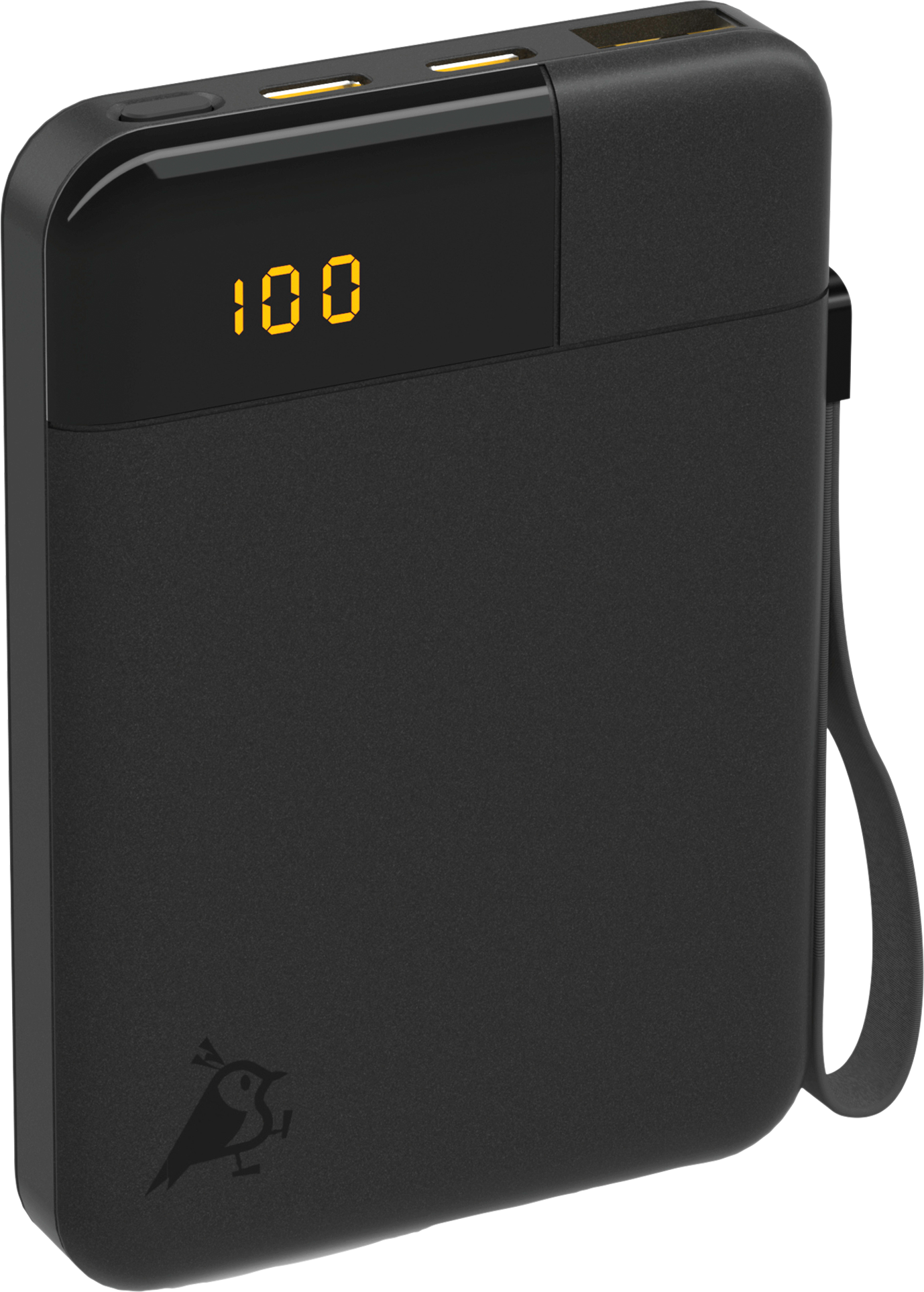 Powerbank Powerbird B5 12 W 5000 mAh med LCD-display forfra