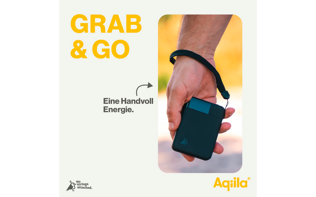 Powerbank Powerbird B5 12 W 5000 mAh med LCD-display 112 g - Aqiila