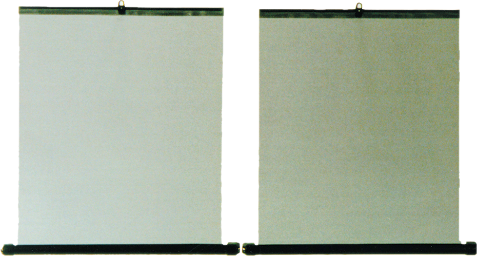 Sidevindu rullegardin universell 2 stk 45x55 cm svart fra HP Autozubeh r