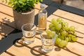 Snapsglass i akryl 40 ml bruddsikre 2-pack forfra